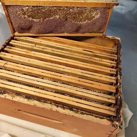 Szálloda Hieracon Carloforte